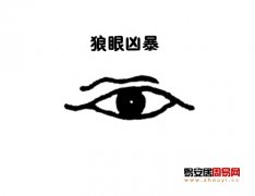 灵犀眼型课堂:狼眼面相图解
