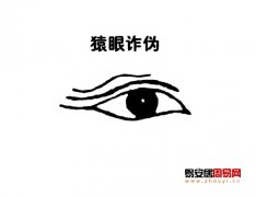 灵犀眼型课堂:猿眼面相图解