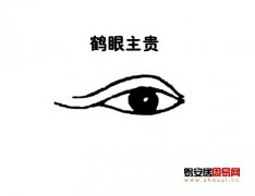 灵犀眼型课堂:鹤眼面相图解