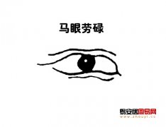 灵犀眼型课堂:马眼面相图解