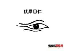 灵犀眼型课堂:伏犀眼面相图解