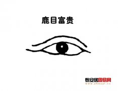 灵犀眼型课堂:鹿眼面相图解