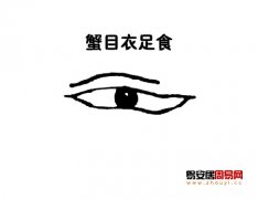 灵犀眼型课堂:蟹目面相图解