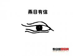 灵犀眼型课堂:燕眼面相图解