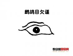 灵犀眼型课堂:鹧鸪眼面相图解