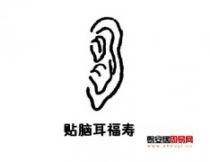 灵犀耳朵课堂:贴脑耳面相图解