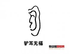 灵犀耳朵课堂:驴耳朵面相图解