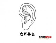 灵犀耳朵课堂:鹿耳面相图解