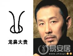 灵犀鼻子课堂:龙鼻面相图解