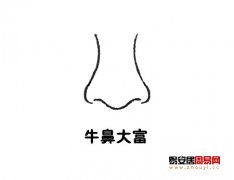 灵犀鼻子课堂:牛鼻面相图解