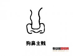 灵犀鼻子课堂:狗鼻面相图解