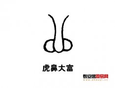 灵犀鼻子课堂:虎鼻面相人图讲解