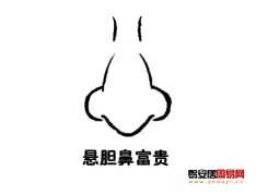 灵犀鼻子课堂:悬胆鼻面相图解