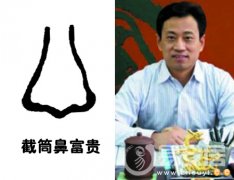 灵犀鼻子课堂:截筒鼻面相图解
