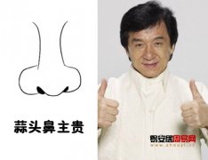 灵犀蒜头鼻课堂:蒜头鼻面相图解