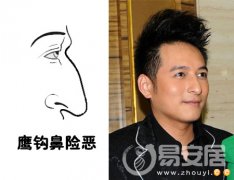 灵犀鹰钩鼻课堂:鹰钩鼻面相图解