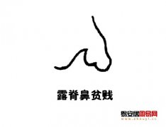 灵犀鼻子课堂:露脊鼻面相图解