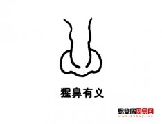 灵犀鼻子课堂:猩鼻面相图解