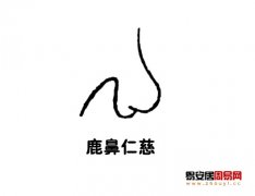 灵犀鼻子课堂:鹿鼻面相图解