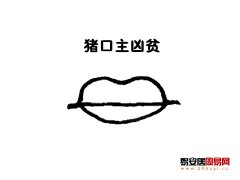 灵犀嘴巴课堂:猪口面相图解