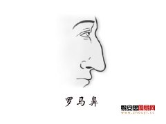 灵犀鼻子课堂:罗马鼻面相图解