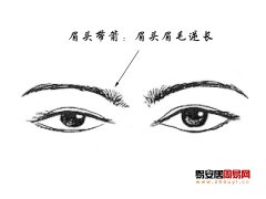 灵犀眉毛课堂:眉头带箭面相图解