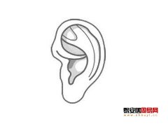 灵犀耳朵课堂:耳朵发黑预示着什么