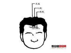 灵犀额头课堂:额头有三条皱纹代表什么