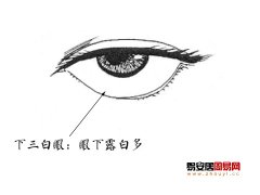 灵犀三白眼课堂:下三白眼的女人野心大