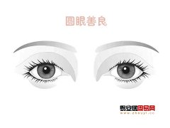 灵犀眼型课堂:圆眼面相图解
