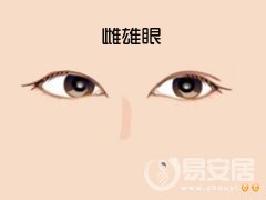灵犀眼睛课堂:雌雄眼面相