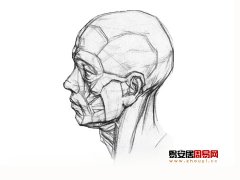 灵犀骨相课堂:九贵骨图解