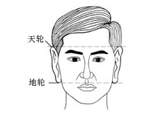 灵犀耳朵课堂:耳朵大有福吗