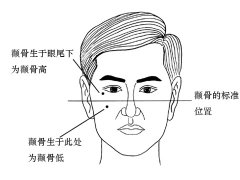 灵犀颧骨课堂:颧骨高的男人面相图解