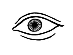 灵犀眼睛课堂:什么是四白眼