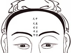 灵犀面相图课堂:天庭饱满 地阁方圆什么意思