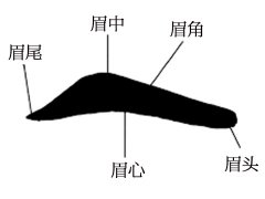 灵犀眉毛有痣课堂:男人右眼眉毛里有痣