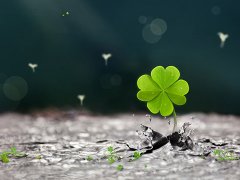 灵犀有福气的面相课堂:非常幸运的有福气面相
