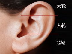 灵犀耳朵课堂:小耳朵看相算命图解