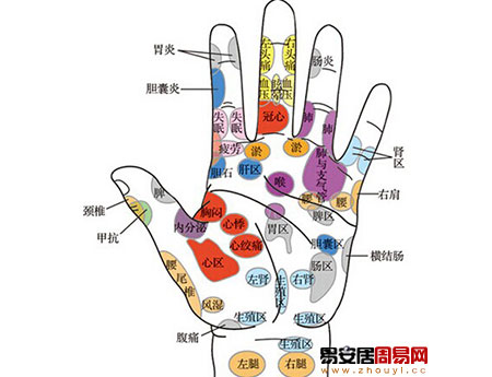 如何看手相掌纹八区诊断疾病