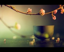 灵犀周易风水课堂:玄空挨星催贵秘法