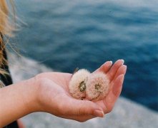 灵犀掌纹图解课堂:揭秘凤眼纹都有什么说法