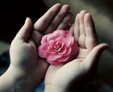 灵犀掌纹图解课堂:揭秘女人好手纹有哪些