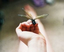 灵犀婚姻线课堂:什么婚姻线男人女人对待婚姻从一而终