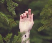 灵犀掌纹图解课堂:什么手相男人是丈母娘乘龙快婿