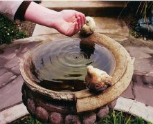 灵犀厨房风水:灶台朝向的风水
