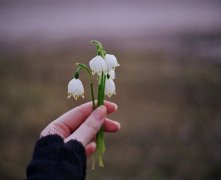 灵犀掌纹图解课堂:看手纹知病入膏肓是怎么样的