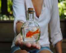 灵犀风水摆设:风水鱼缸应如何摆放