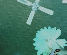灵犀家居风水:揭露天花板风水的宜忌