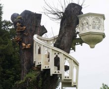 灵犀办公室风水课堂:办公桌摆放什么风水植物好